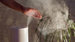 Is-It-Right-Choice-to-Humidify-Your-Entire-House-on-guestwritershub